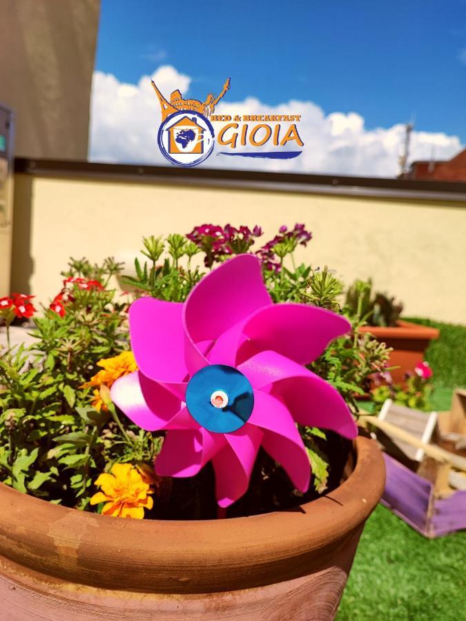 B&B Gioia Катандзаро Екстериор снимка