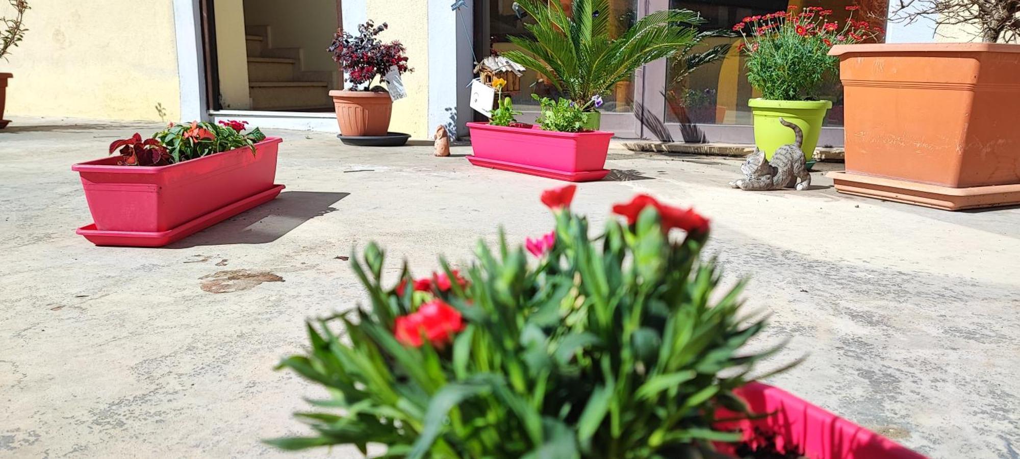 B&B Gioia Катандзаро Екстериор снимка